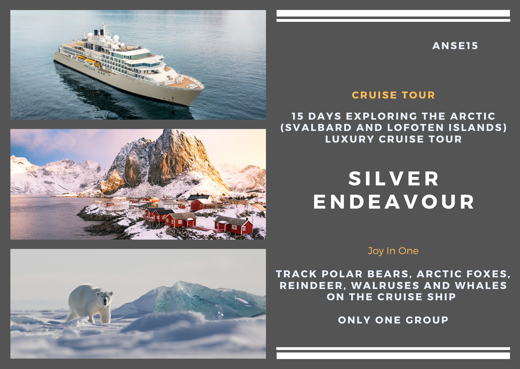 15 days to explore the Arctic (Svalbard Lofoten Islands) Silver Endeavor Luxury Cruise Tour (ANSE15)