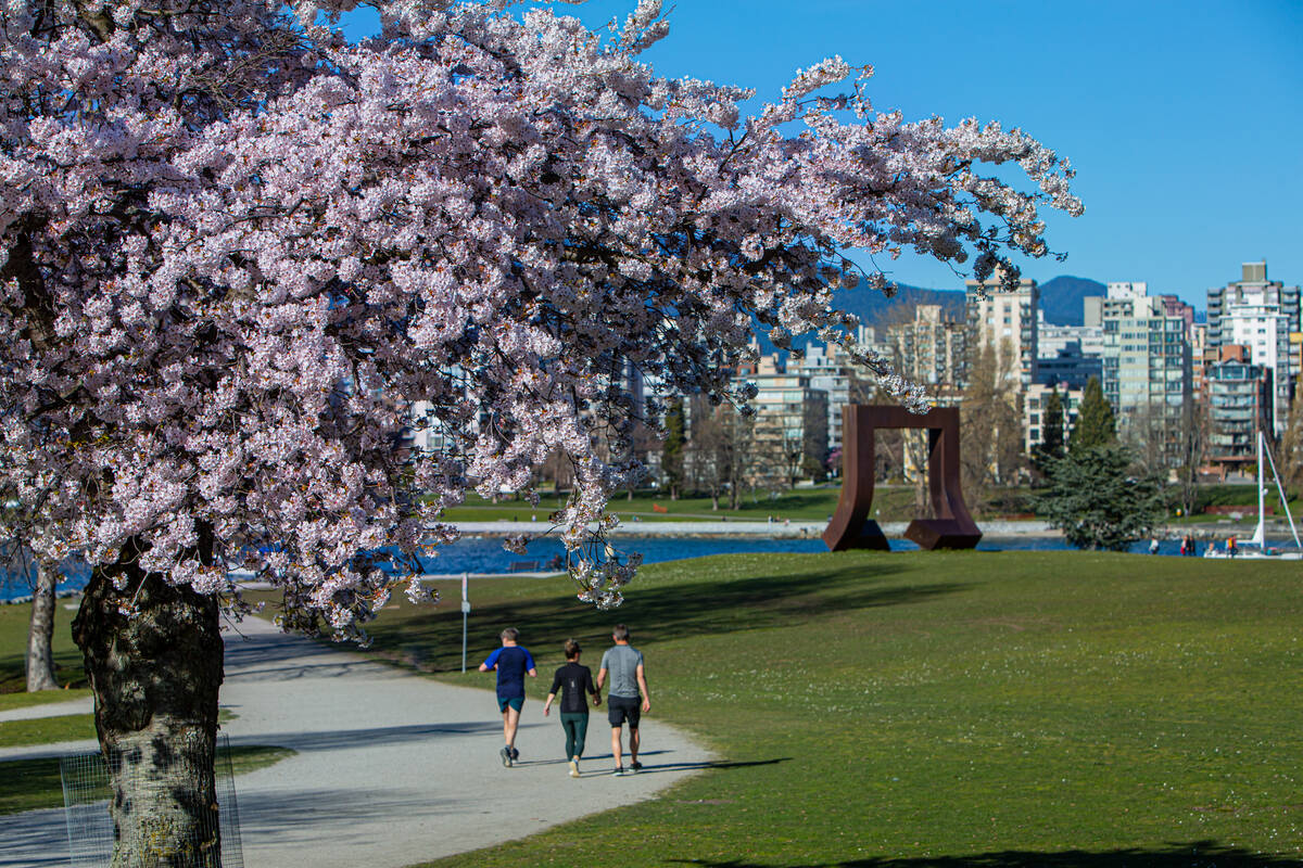 溫哥華 Vancouver