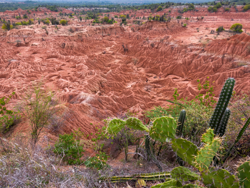 塔塔科亞沙漠（Tatacoa Desert）