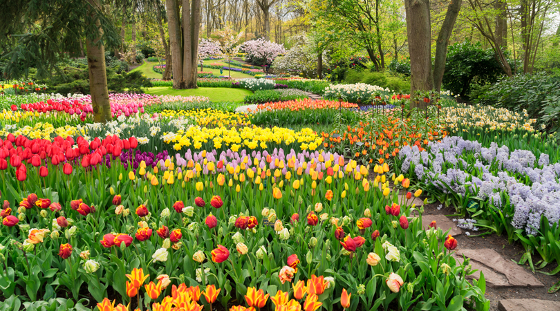 keukenhof