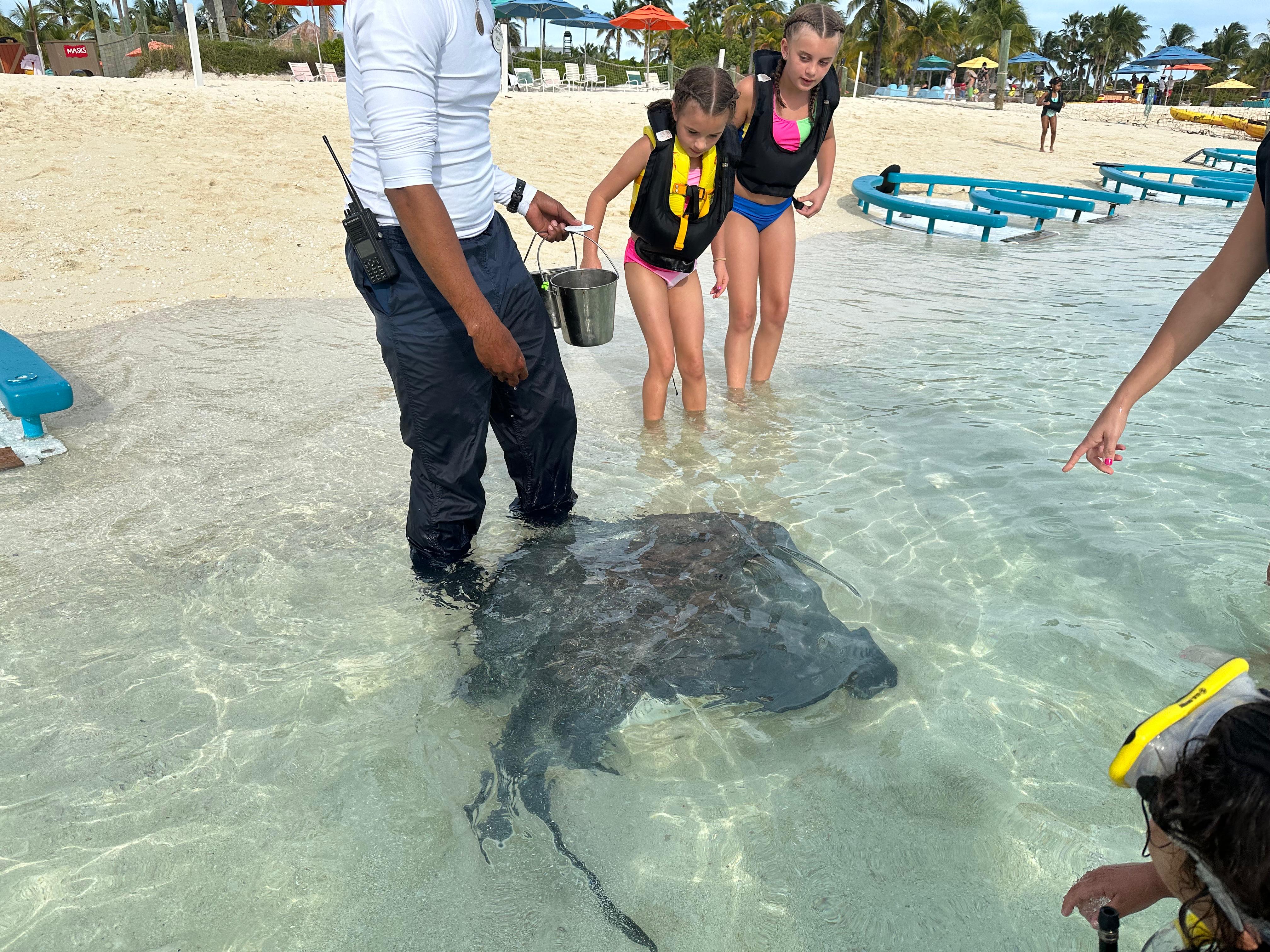 Stingray