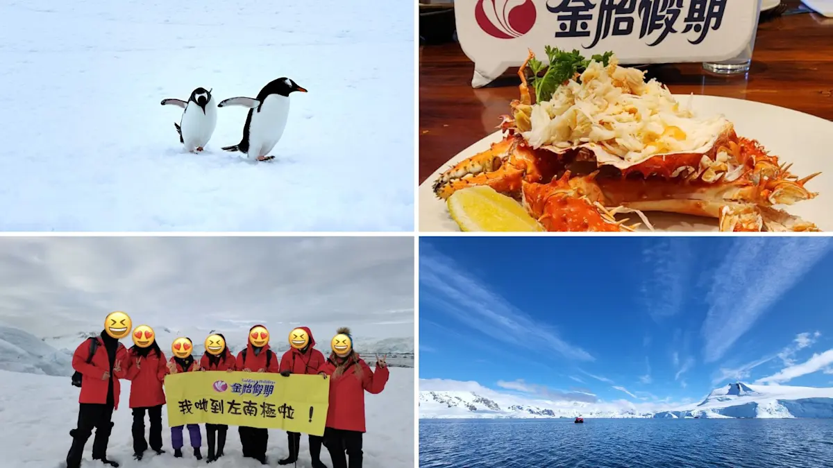 南極旅行團專家金怡假期