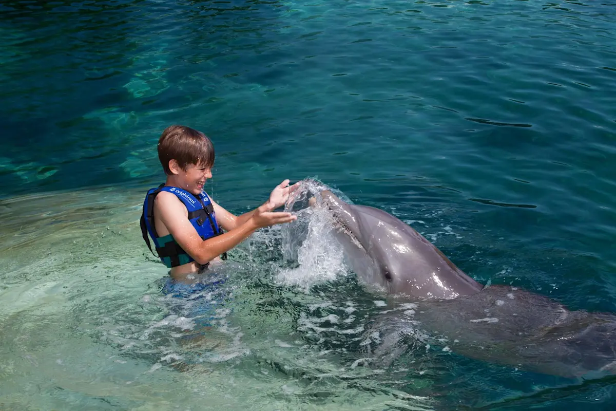 Xcaret Park (Swimming with Dolphin)