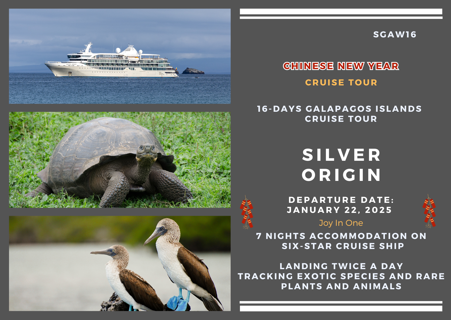  ### 16-day Chinese New Year exclusive Galapagos Islands Luxury Cruise Silver Origin  (SGAW16)