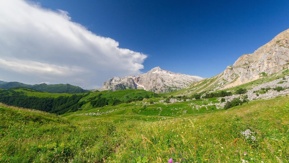 北高加索vs南高加索