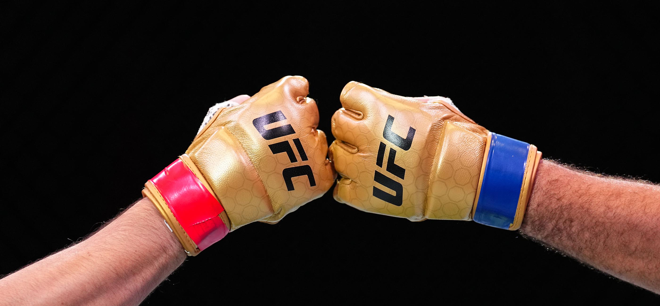 New ufc glove design on sale