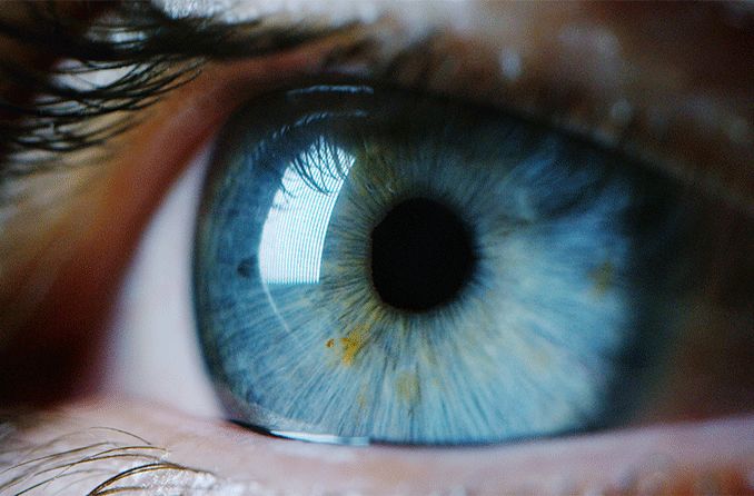 Vision: Is Eyesight Our Most Important Sense?