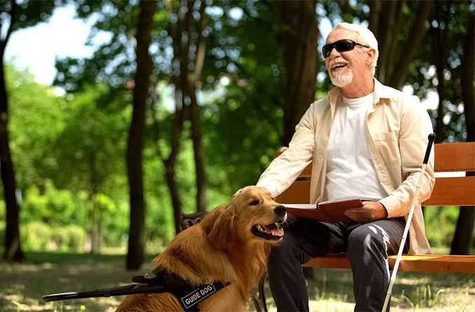 blind person with dog