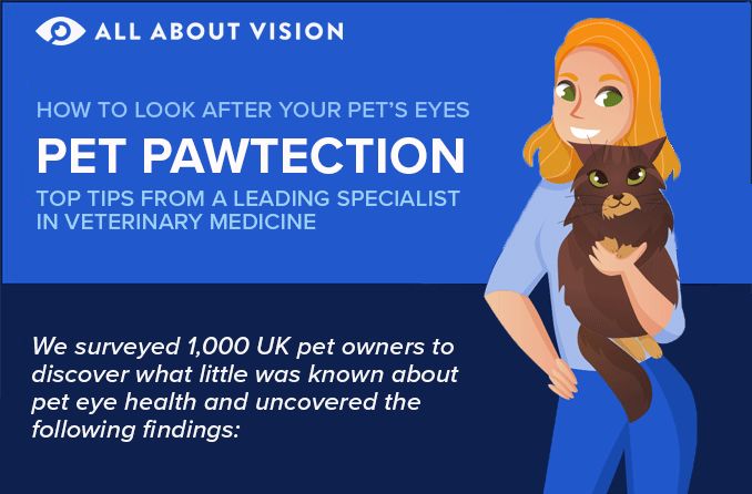 infographic on pet eye health
