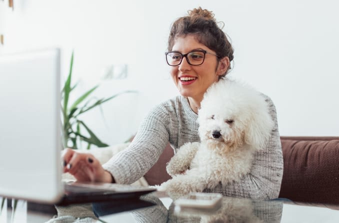 Frau mit Hund arbeitet am Computer