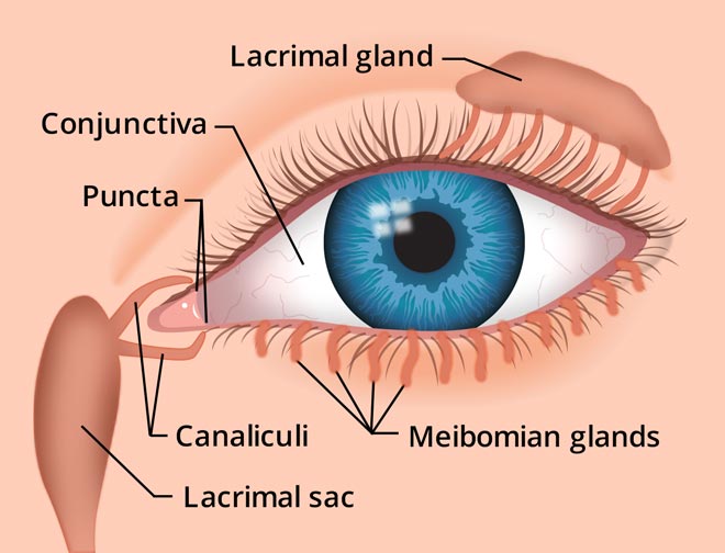 Secreción ocular causas, tipos, tratamiento