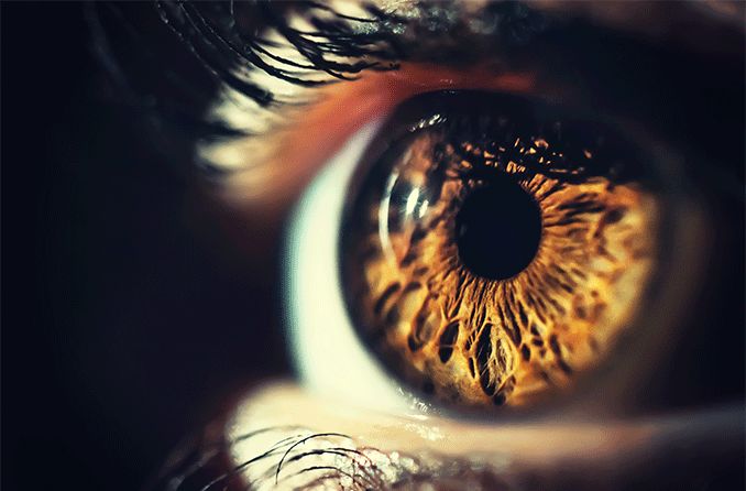 The iris: the most attractive part of the eye