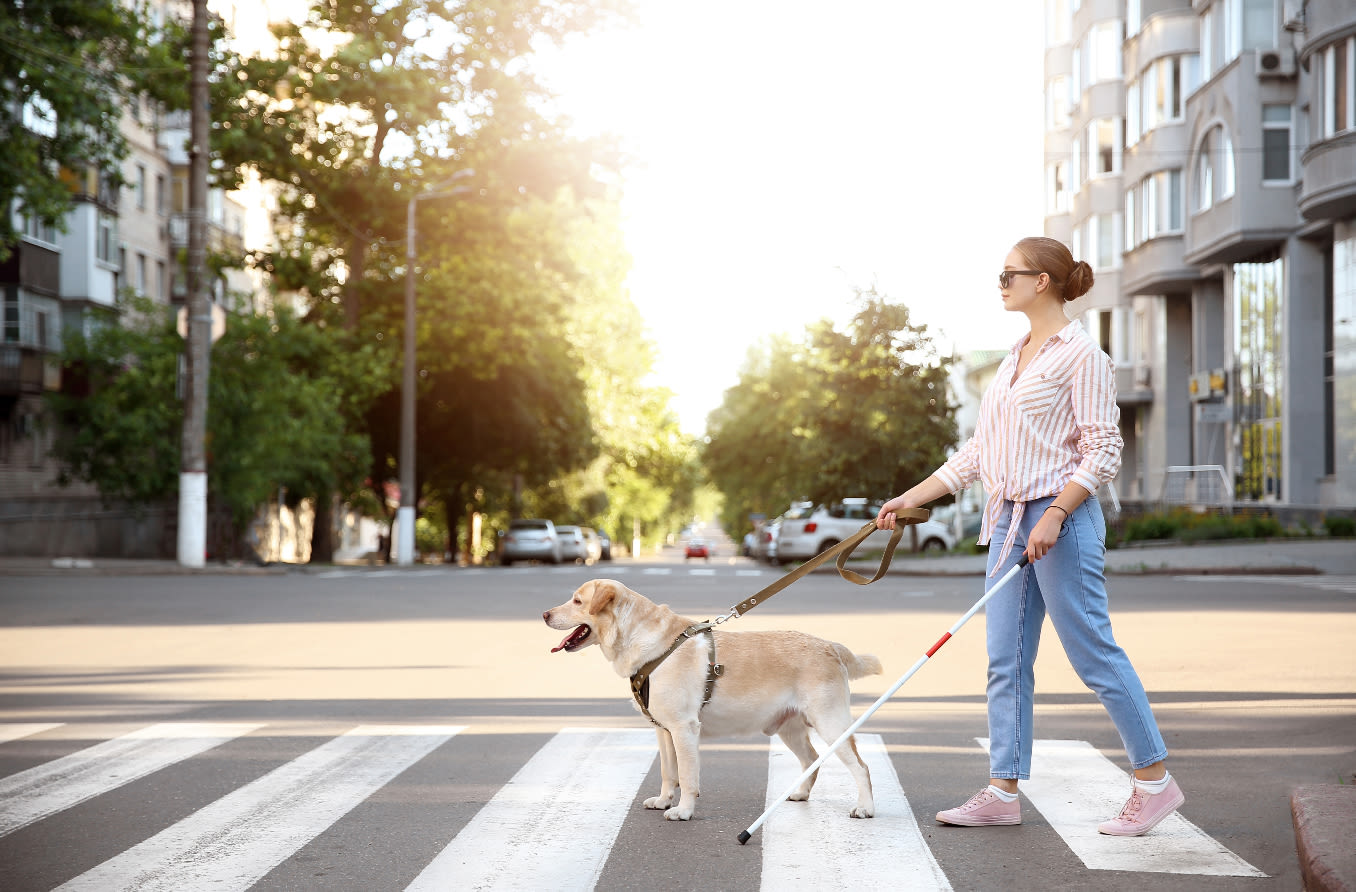 Person with low vision walking dog dog and using a cane.