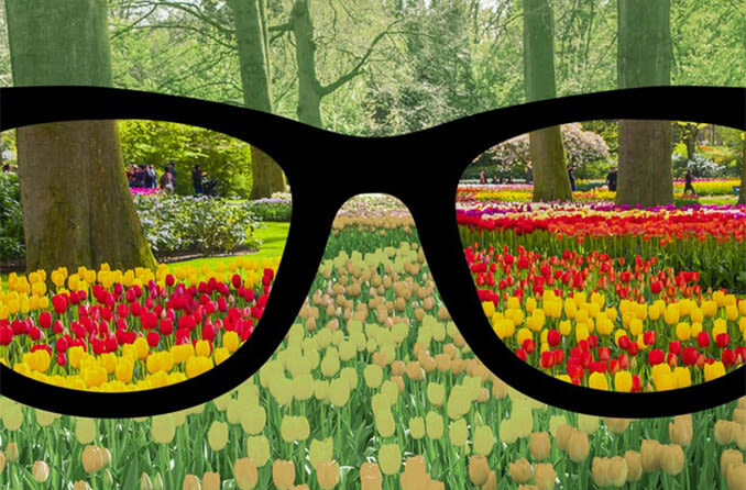 colour blind glasses