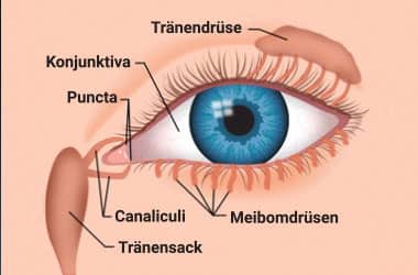 Verklebte Augen Ursachen Und Behandlung Von Ausfluss Aus Dem Auge