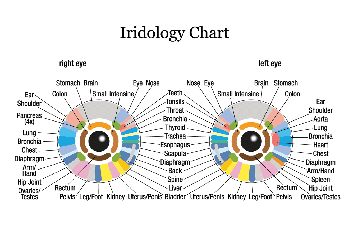 Iridology Chart 1320x880 