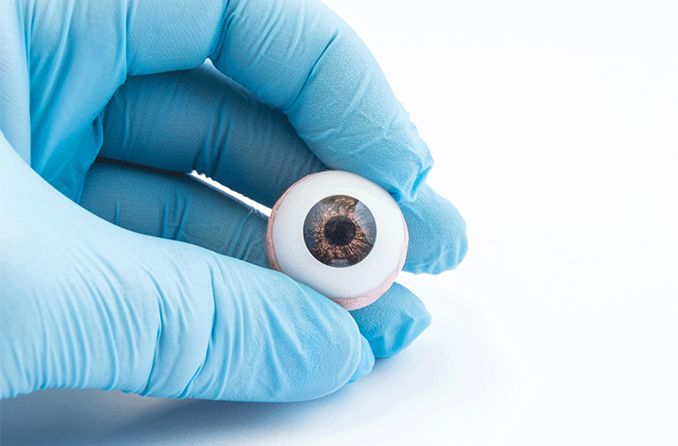 surgeon's hand holding an eye transplant