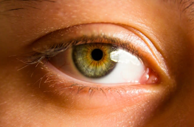 brown eyes with blue ring around iris