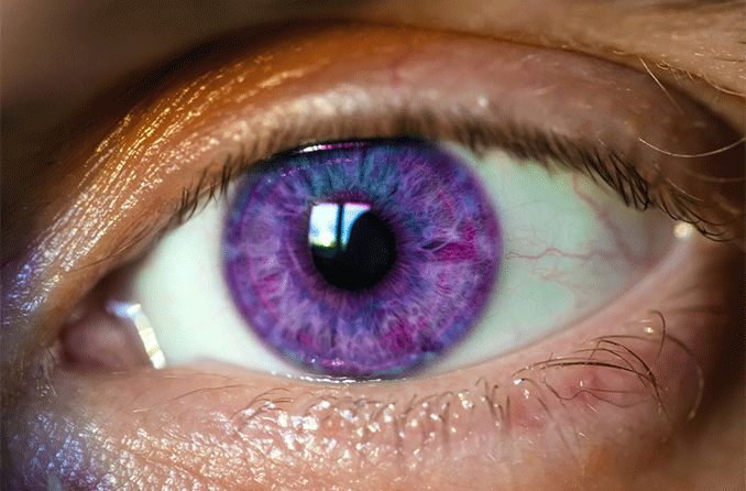 primer plano de un ojo violeta