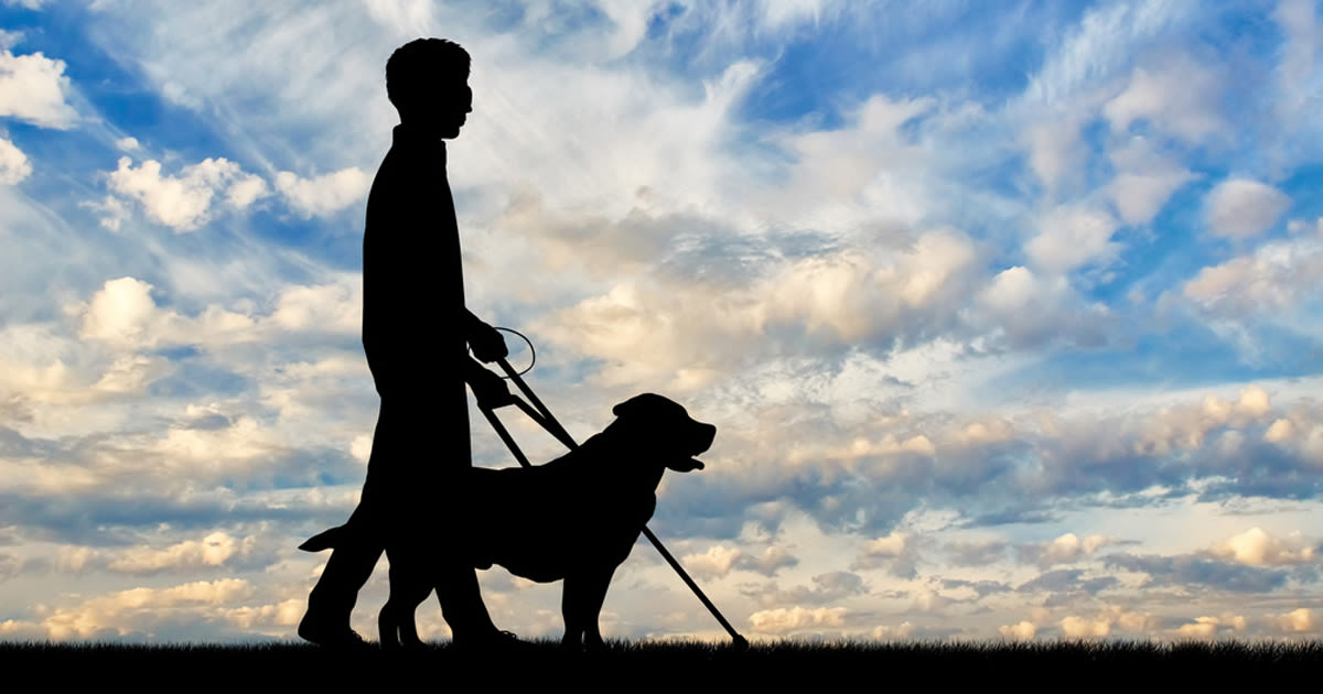 Silhouette of blind man with his guide dog