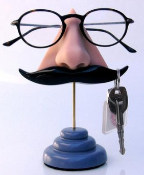 The Nose eyeglasses holder