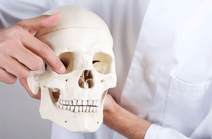 human skeleton head pointing to the eye socket