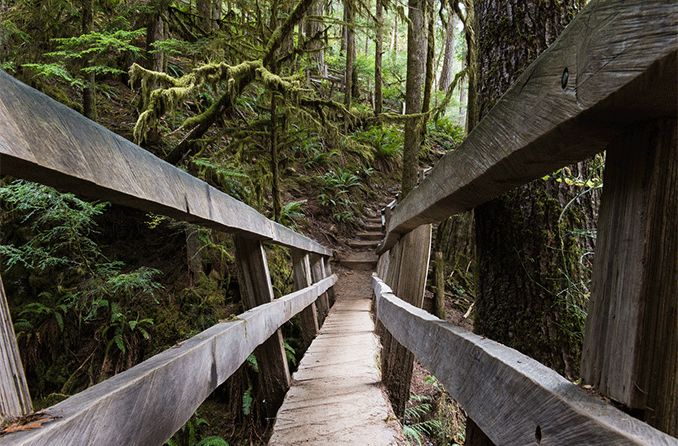 view of depth perception on a long wooden bridge