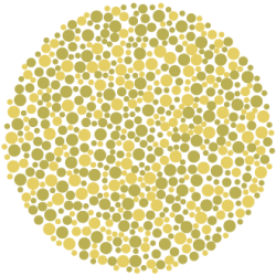 color blind test for kids with animals