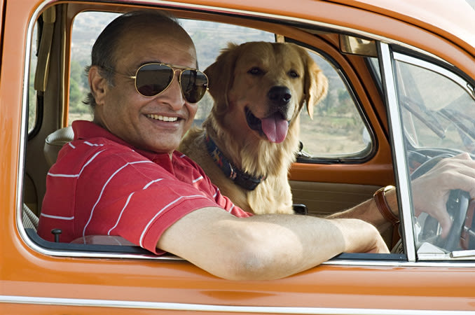 धूप का चश्मा पहने एक भारतीय व्यक्ति अपने कुत्ते के साथ अपनी कार चलाता है।