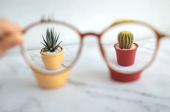 freie Sicht auf Kaktuspflanzen durch eine Brille gesehen
