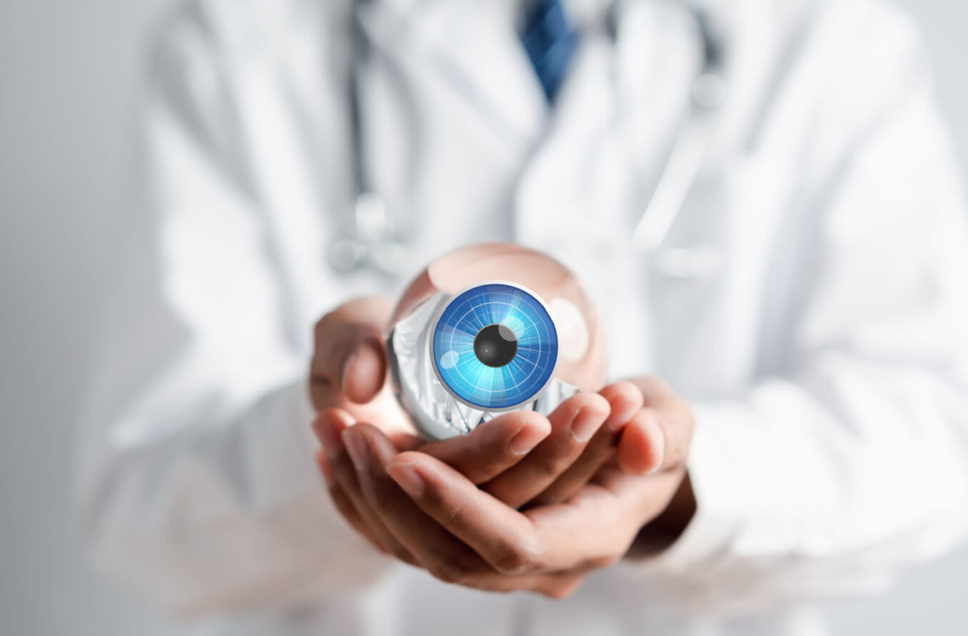 Doctor holding model of the cornea.