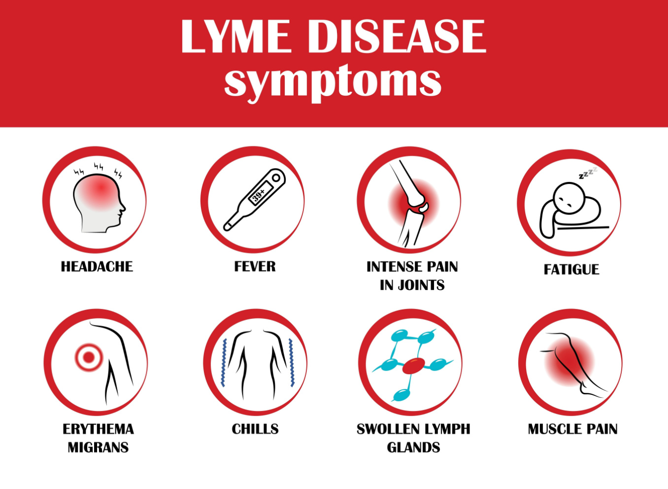 Lyme Disease And Its Impact On Eyes