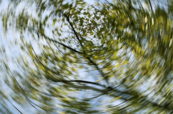 visão tonta e embaçada de árvores no céu