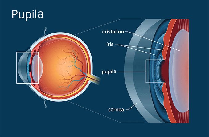 Fato ou mito? Olhos que mudam de cor segundo à condição do tempo