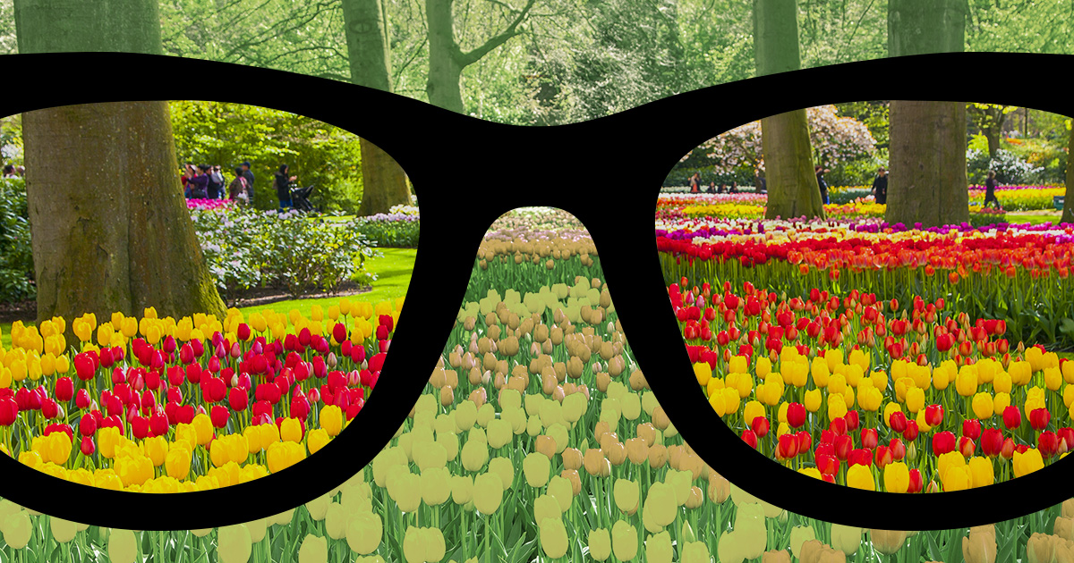 Color Blind Correction Glasses are Used for Indoor and Outdoor Color Weak Color Blindness 