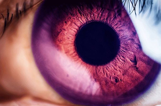 primer plano de un ojo violeta