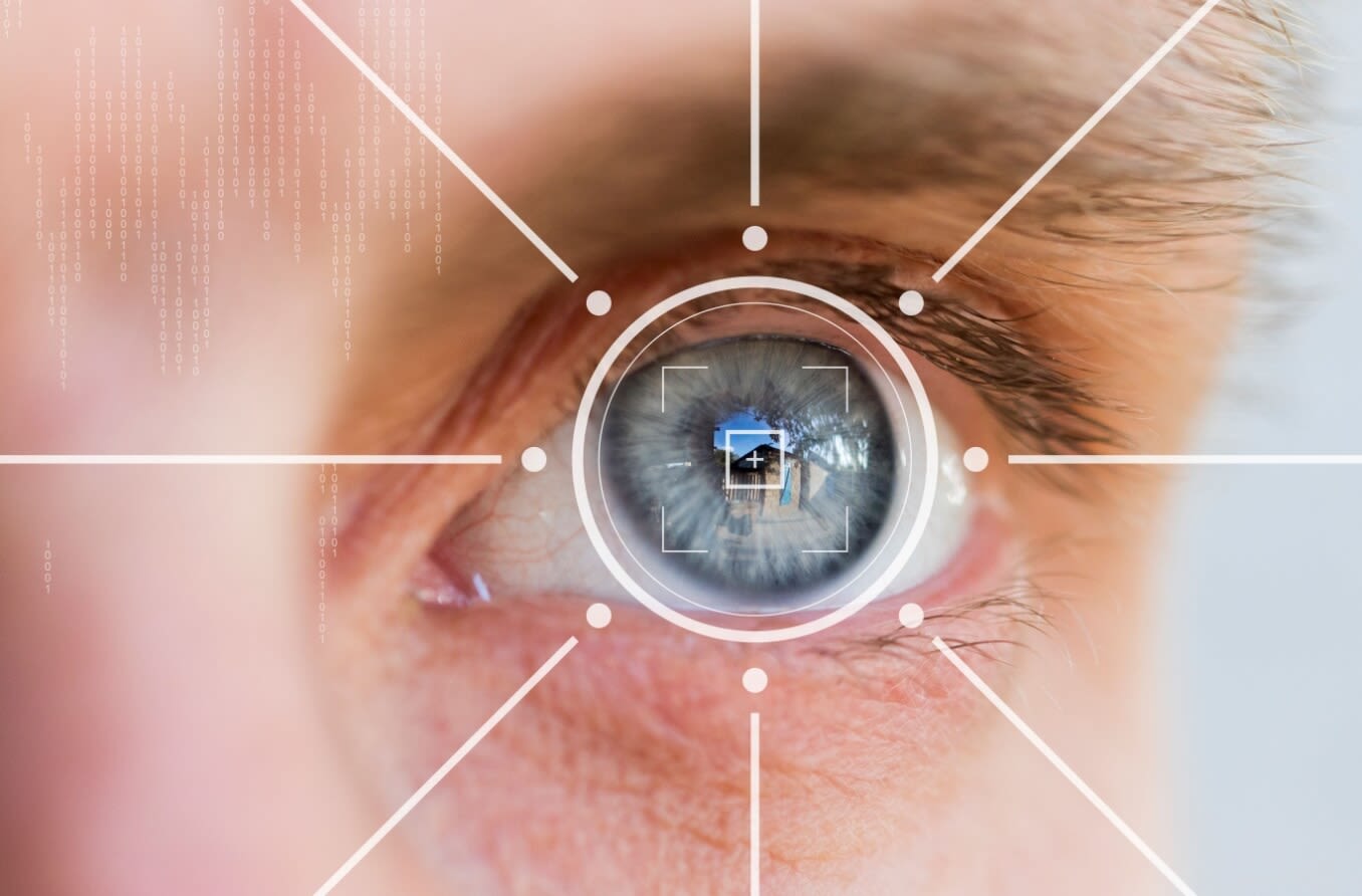 Eye monitoring, eye scan in virtual reality.