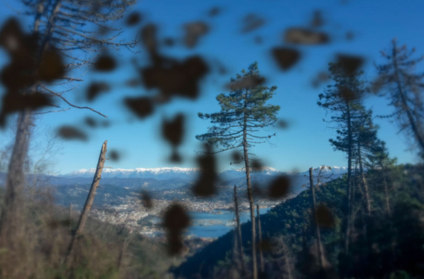 Auswirkungen der diabetischen Retinopathie mit Bild von Sonnenblumen