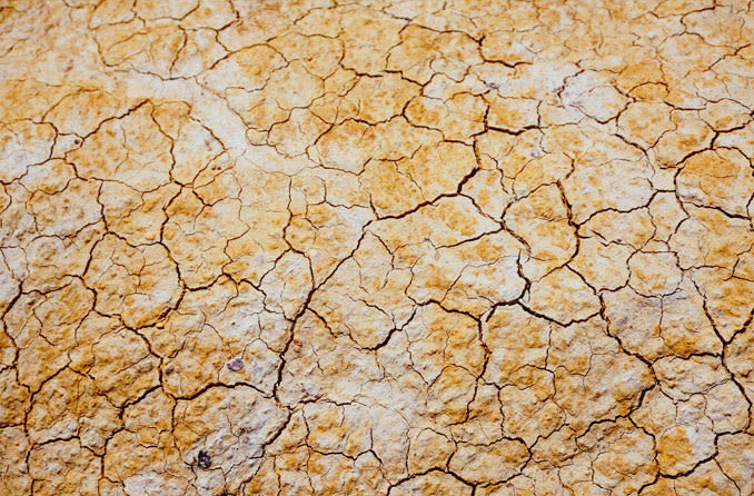 dry cracked earth