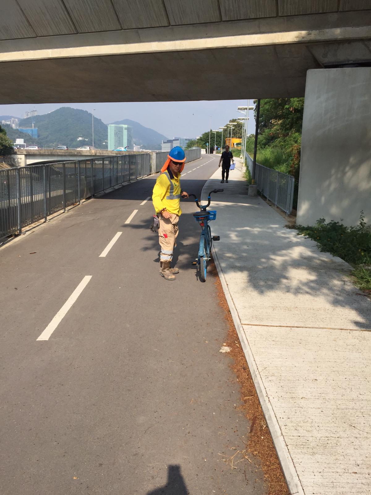 沙田單車公園渠務工程地盤