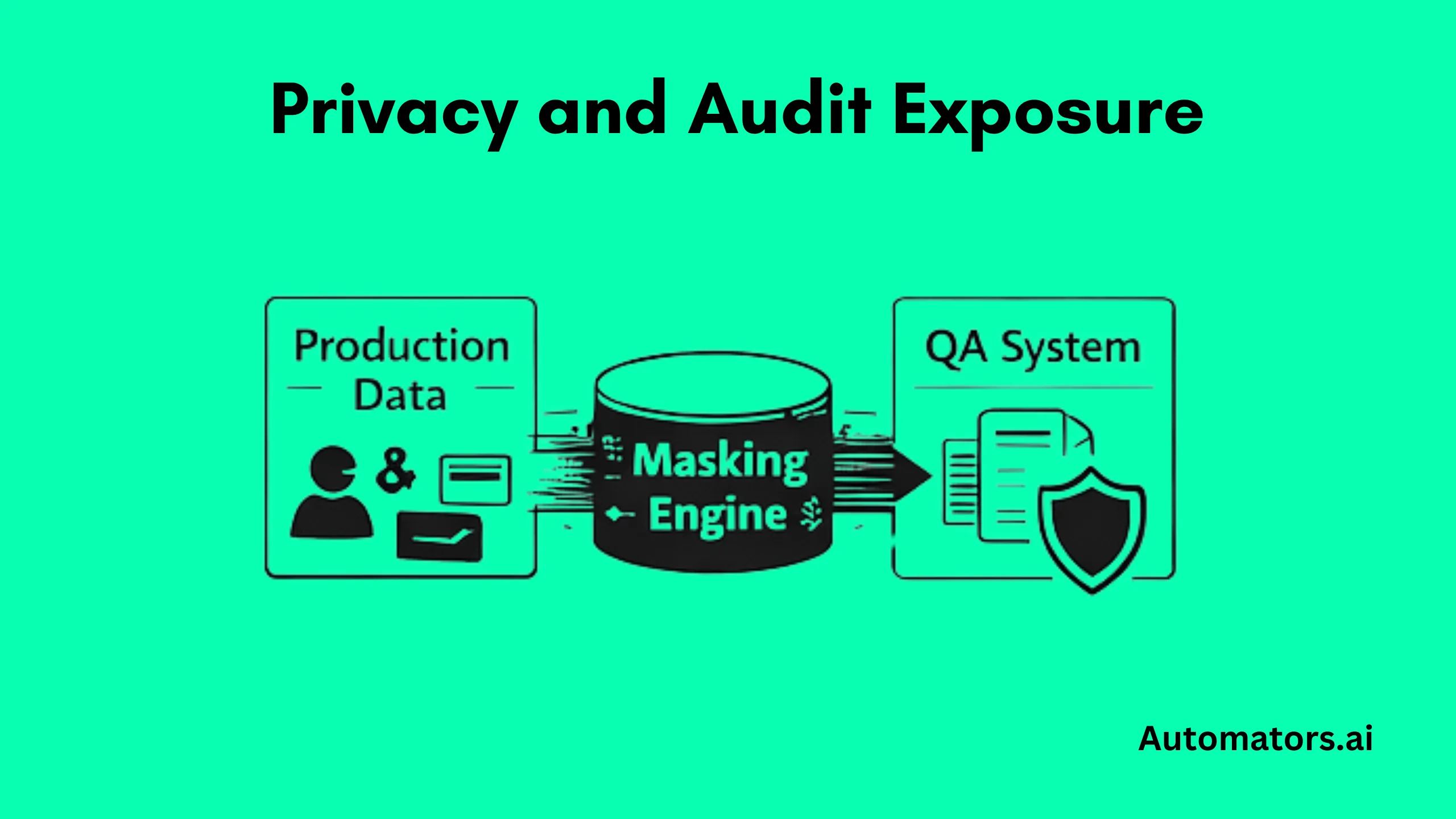 Privacy, and Audit Exposure