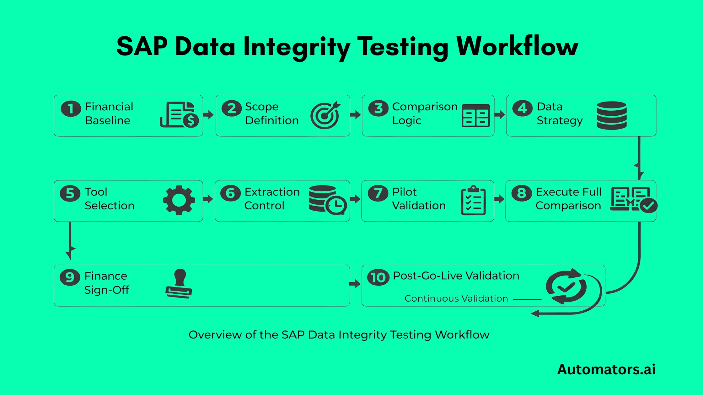 SAP Data Integrity Testing Workflow