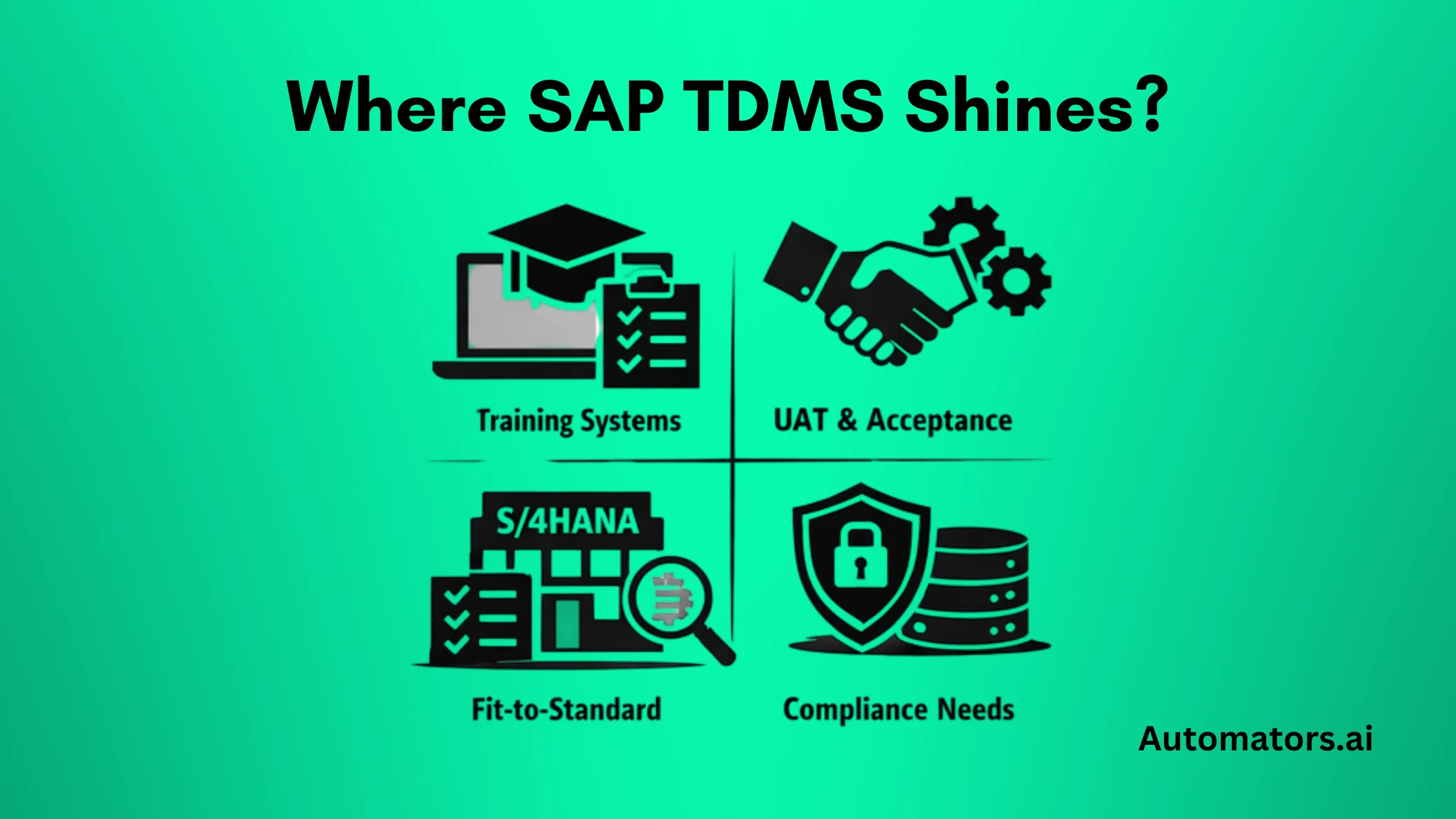 Where SAP TDMS Shines