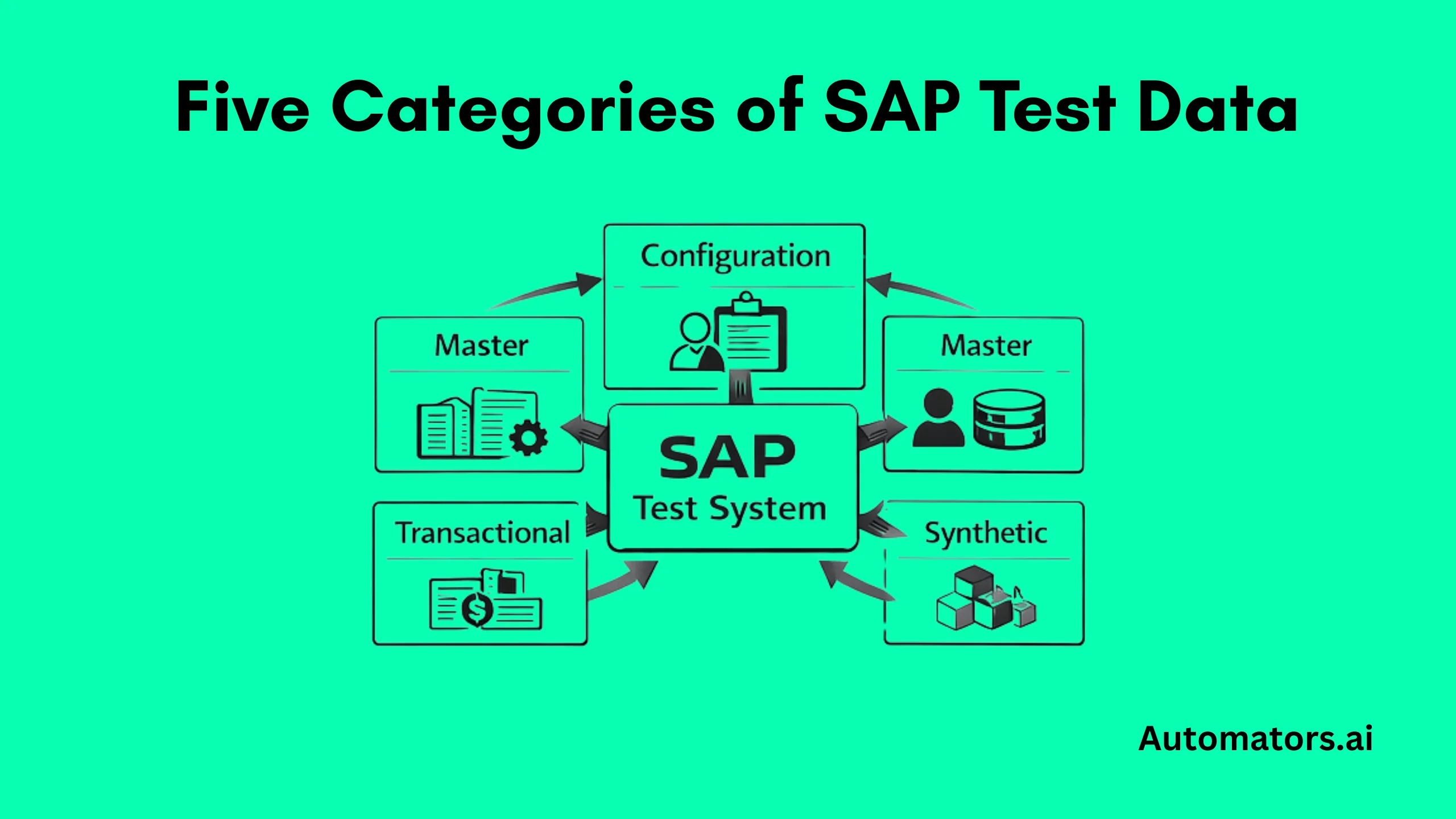 Five Categories of SAP Test Data