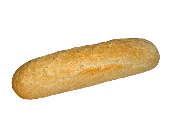 Panini 100G