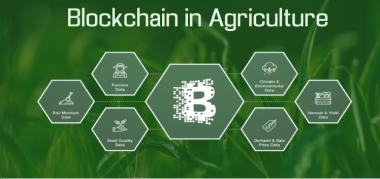 Transforming the Agriculture Industry with Blockchain Innovation