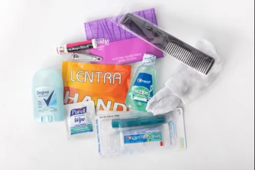 Assorted items found in an essential hygiene kit