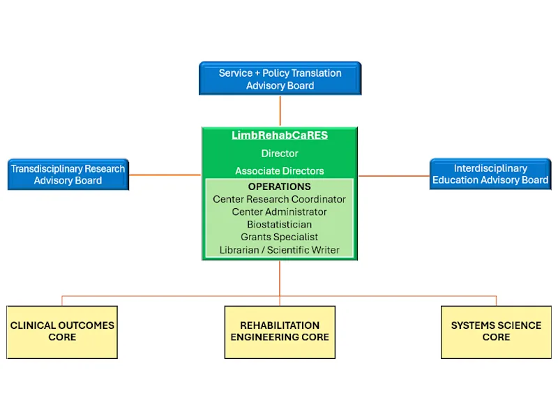Tree diagram of structure of the center