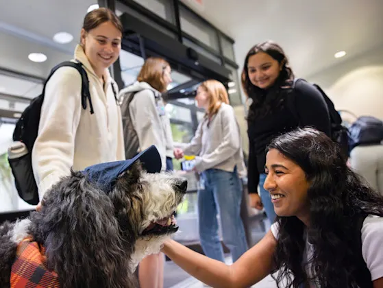 Rithika Prisad Prisad, a second-year medical student, smiles while scratching the side of Teddy the therapy dog's face.