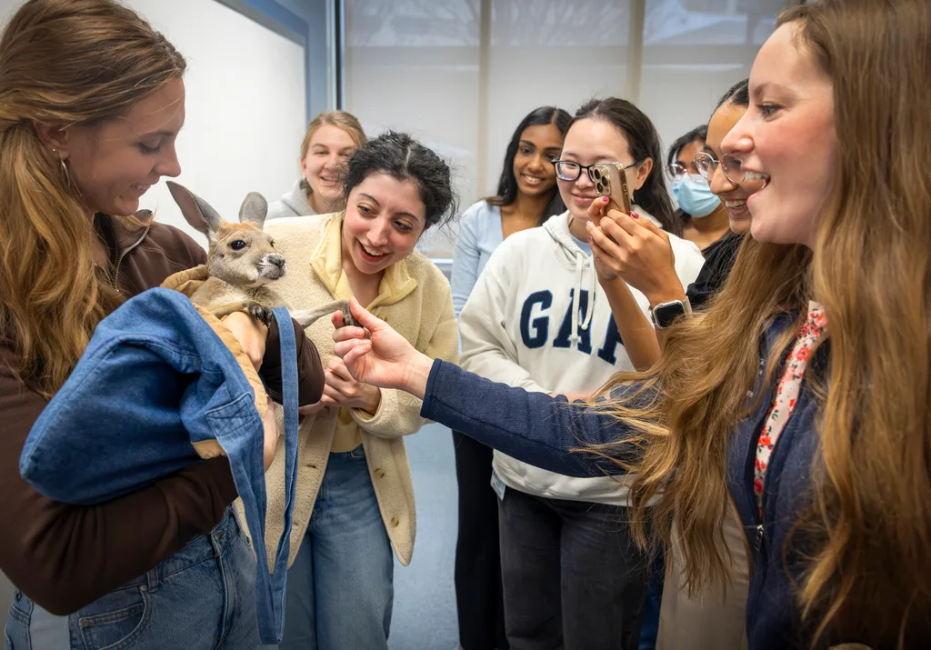 A student holds a baby kangaroo while another student touches its tiny paw and others smile in the background